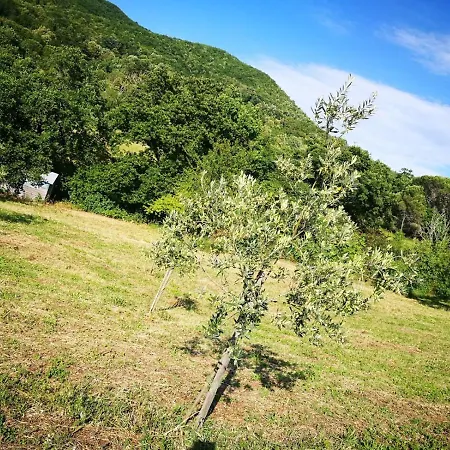 La Casetta Di Ross 아파트