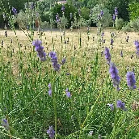 아파트 La Casetta Di Ross