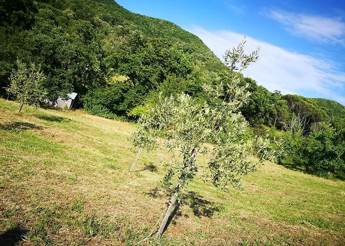 La Casetta Di Ross 아파트