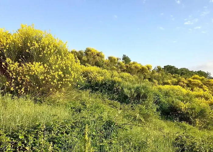 La Casetta Di Ross *